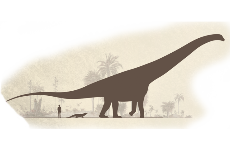 Größenvergleich Argentinosaurus