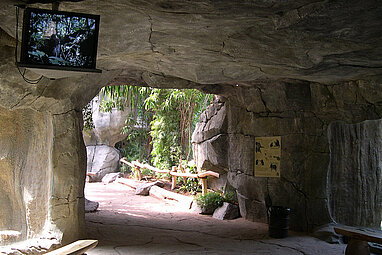Besuchertunnel Innenanlage Pongoland