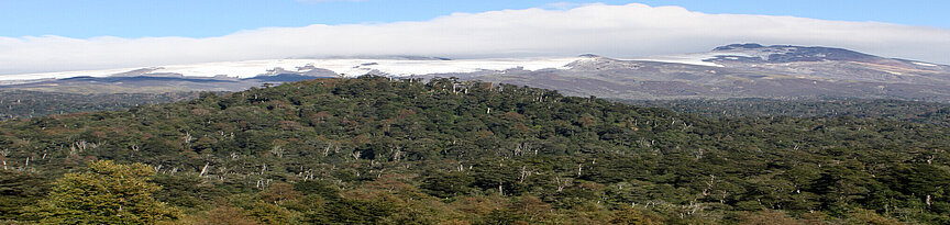 Lebensraum Nasenfrosch - Chile, Blick auf Berge und Wälder