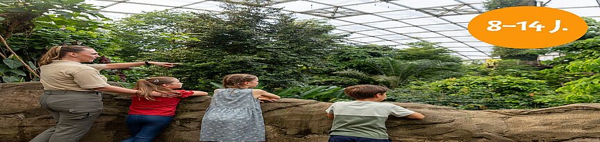 Link zu Angebotsseite Kindergeburtstagspaket Regenwald-Expedition für Kinder von 8-14 Jahre