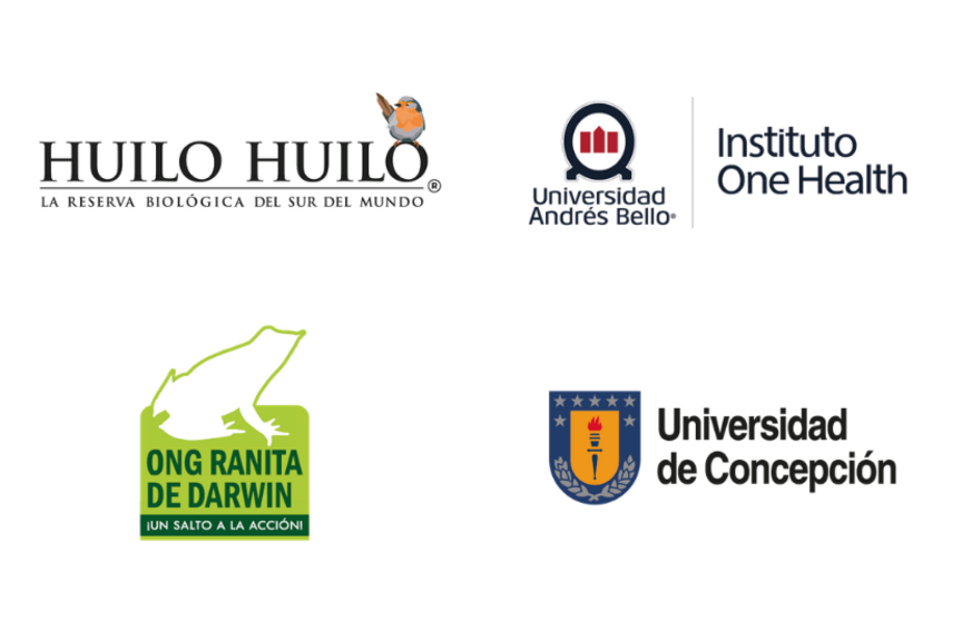 Abbildung der chilenischen Partner: Huilo Huilo - La Reserva biologicaa del sur del mundo, Universidad Andrés Bello, ONG Ranita de Darwin und Universidad de Conceptión.