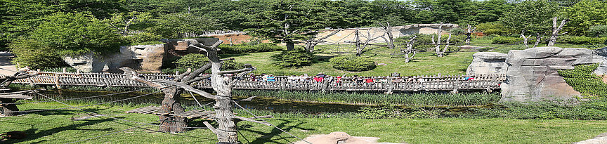 Orang-Utans auf der Außenanlage im Pongoland mit Besuchern
