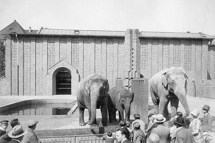 elephant house