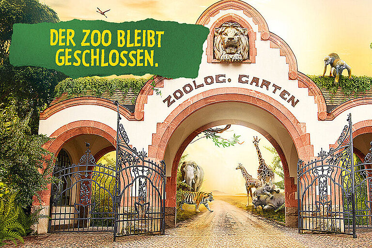 Motivbild Zootor: Zoo bleibt geschlossen