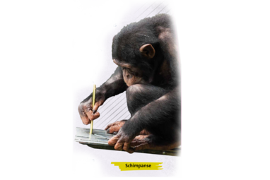 Schimpanse benutzt ein Werkzeug