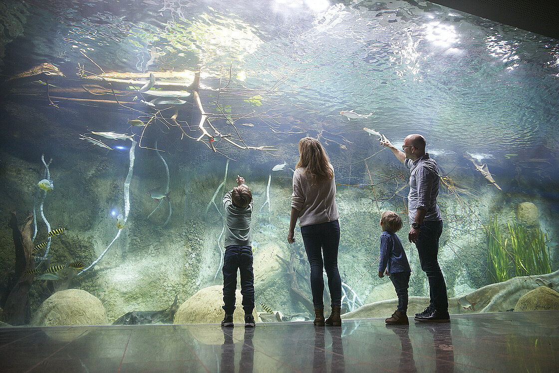 Modernisiertes Aquarium wiedereröffnet