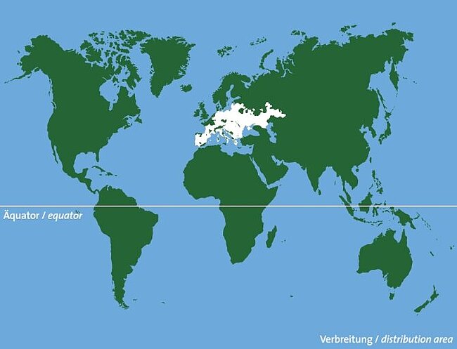 Verbreitungsgebiet Europäische Sumpfschildkröte: Albania; Algeria; Armenia; Austria; Azerbaijan; Belarus; Bosnia and Herzegovina; Bulgaria; Croatia; Czechia; France; Georgia; Germany; Greece; Hungary; Iran, Islamic Republic of; Italy; Kazakhstan; Latvia; Liechtenstein; Lithuania; Malta; Moldova; Monaco; Montenegro; Morocco; Netherlands; North Macedonia; Poland; Portugal; Romania; Russian Federation; Serbia; Slovakia; Slovenia; Spain; Schweiz; Syrien; Tunisien; Turkmenistan; Türkei; Ukraine