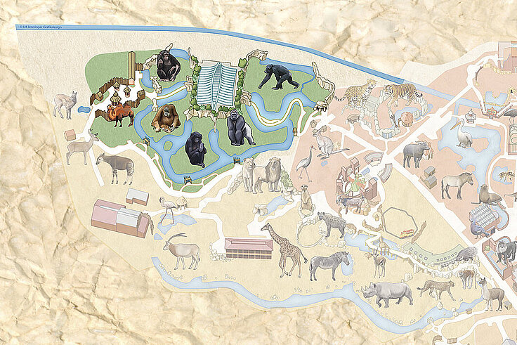 Ausschnitt Zooplan Erlebniswelt Pongoland