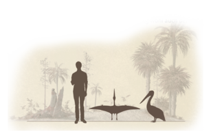 Größenvergleich Pterodactylus