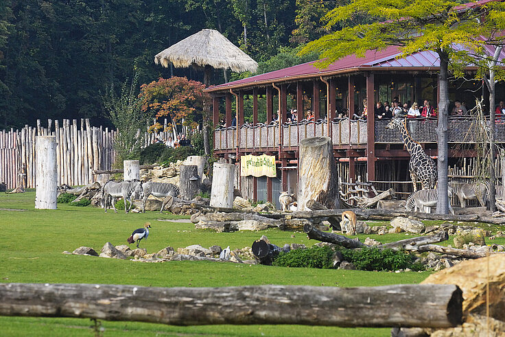 Blick von der Kiwara-Savane auf die Kiwara-Lodge