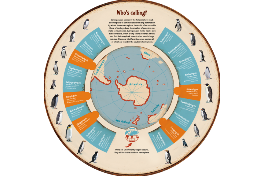 A circular chart titled “Whos calling?” shows different penguin species and the sounds they make. All the penguin species are displayed around the circle, with each species connected to its characteristic sound.