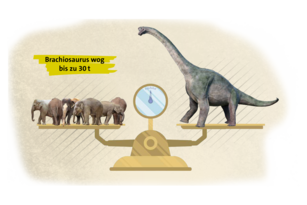 Vergleich Gewicht Brachiosaurus und Elefanten