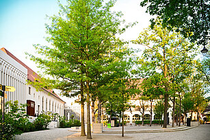 Blick auf den Konzertgarten Richtung Richard-Wagner-Saal, links Palmensaal mit Zoorestaurant im Anschluß daran der Telemannsaal