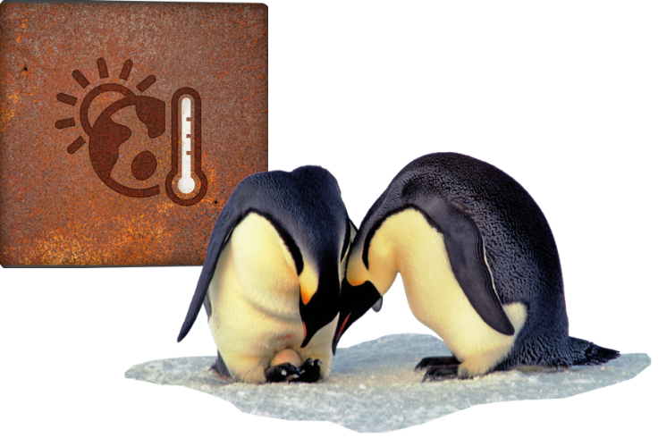 A figure illustrating the effects of climate change on penguins, showing warming temperatures, melting ice, changing ocean conditions, and their impact on penguin habitats and food sources.