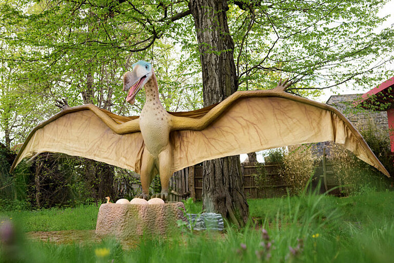 Pterodactylus mit geöffneten Flügeln