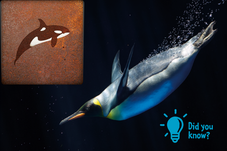 The figure illustrates the natural predator–prey relationship between orcas and penguins.