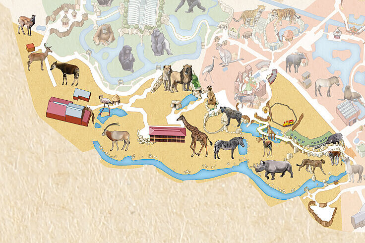 Ausschnitt Zooplan Erlebniswelt Afrika