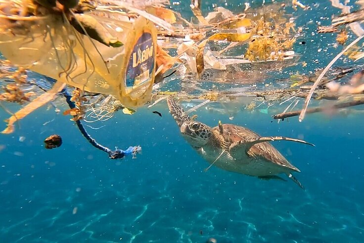 The images shows a seaturtle swimming through plastic filled water 