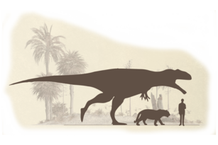 Größenvergleich Giganotosaurus-Mensch-Tiger