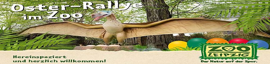 Postkarte mit Dinomotiv