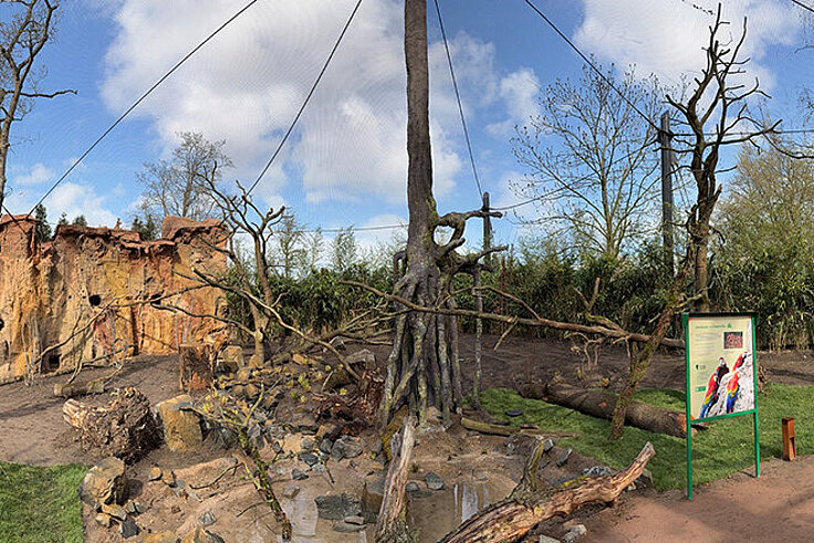 Panoramaaufnahmen Vogelvoliere Amazonien