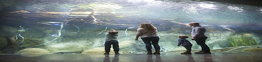 Familie vor dem Panoramabecken im Aquarium