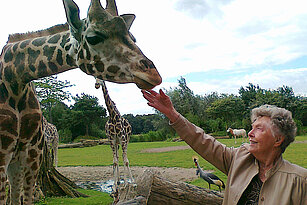 Erblasserin Frau Siemoneit beim Streicheln einer Giraffe
