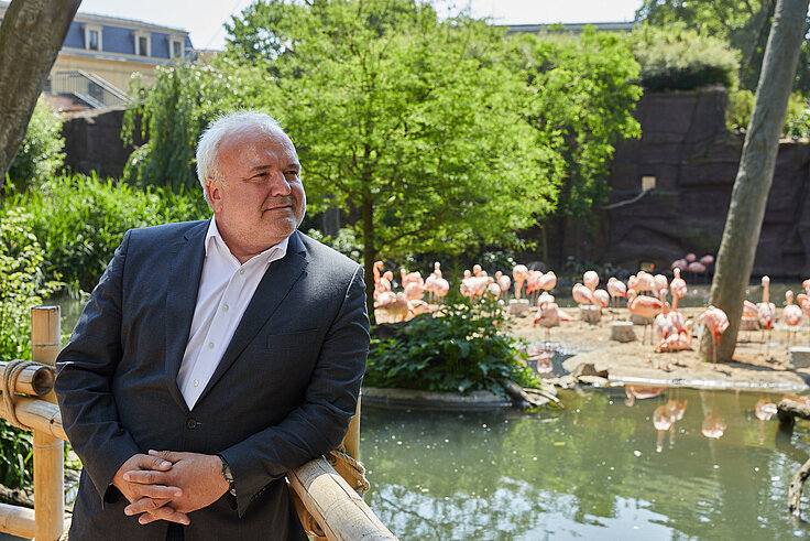Zoodirektor bei der Flamingolagune