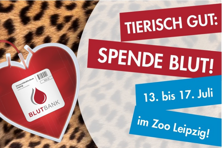 Im Hintergrund Leopardenfell, Herz mit Blutspendebeutel und Text Tierisch Gut: Spende Blut