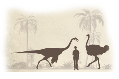 Größenvergleich Ornithomimus