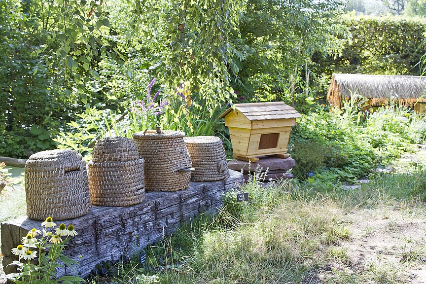 Der neue Bienengarten mit verschiedenen Beuten