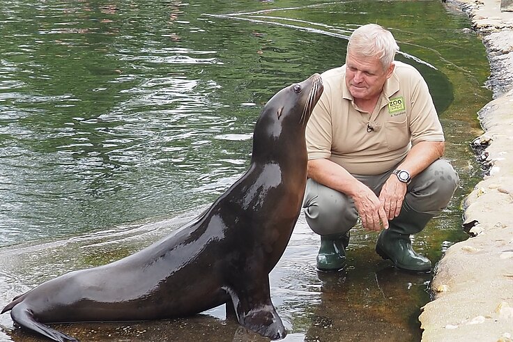 Der Zootierarzt sitzt an der Beckenkante daneben ein Seelöwe