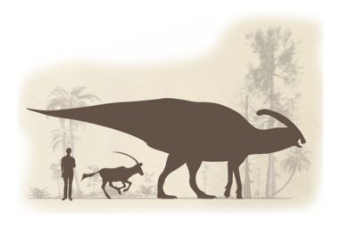Größenvergleich Parasaurolophus