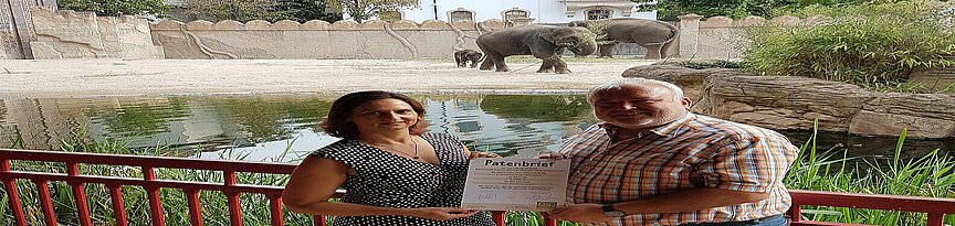 Zoodirektor übergibt Patenschaftsurkunde an Patin. Im Hintergrund Elefanten.