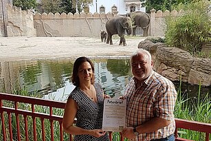 Zoodirektor übergibt Patenschaftsurkunde an Patin. Im Hintergrund Elefanten.