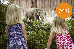 Zwei Kinder sehen sich zwei Elefanten auf der Außenalgae an