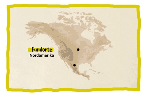 Fundorte Nordamerika Quetzalcoatlus