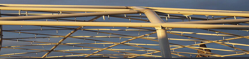 Dachtragwerk der Tropenhalle Gondwanaland während der Bauarbeiten