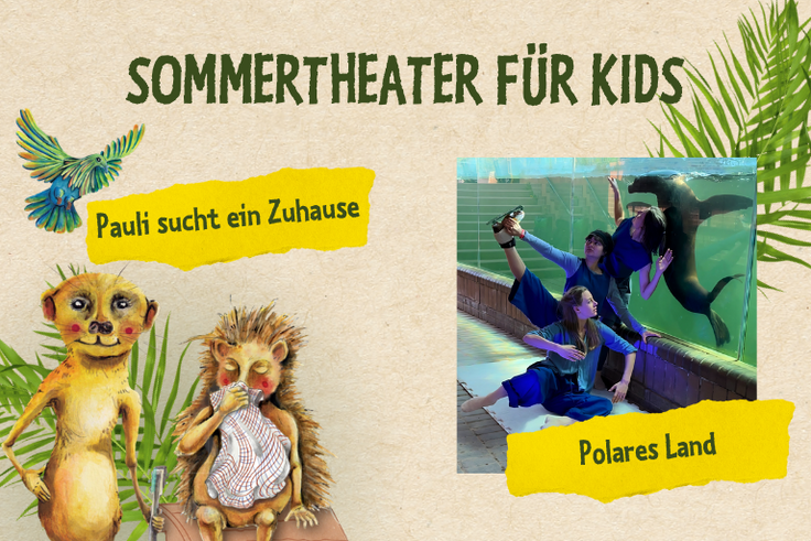 Collage für Sommertheater mit Illustration von Erdmännchen, Igel und Vogel für Pauli sucht ein Zuhause und Foto von Tänzerinnen vor Seelöwen-Scheibe für Polares Land