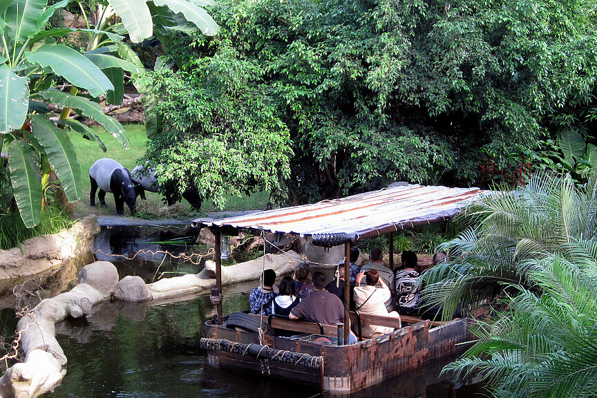 Bootsfahrt auf dem Urwaldfluss - mit Tapiren