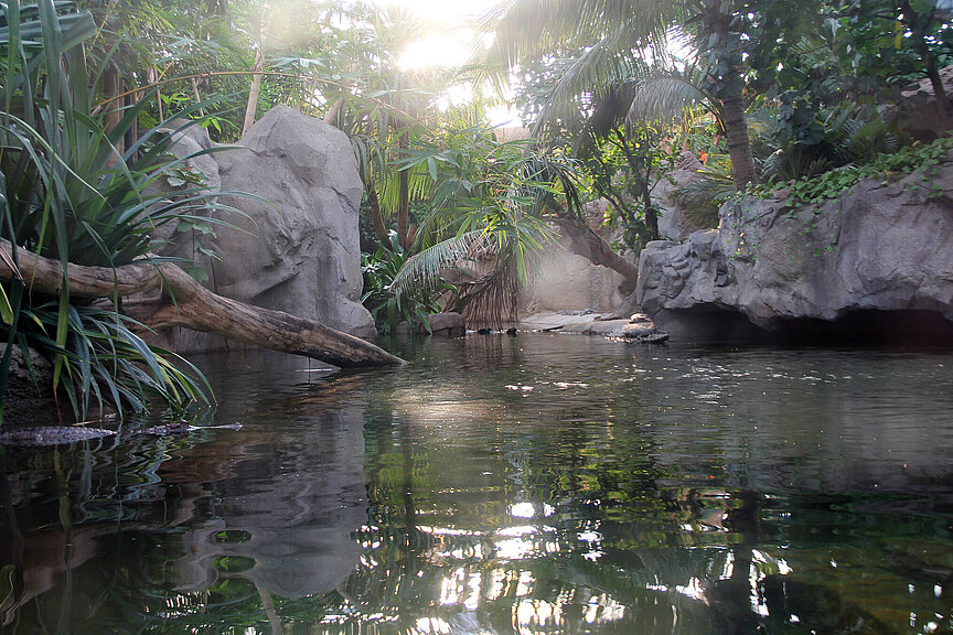 Blick aufs Wasser vom Gehege beim Sunda-Gavial