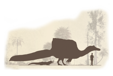 Größenvergleich Spinosaurus-Mensch-Krokodil