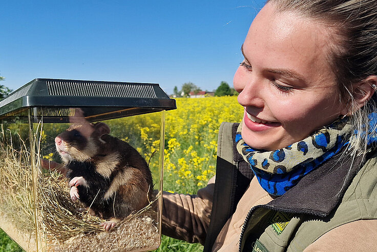 Tierpflegerin Celina Lembke bringt einen Feldhamster zur Auswilderung