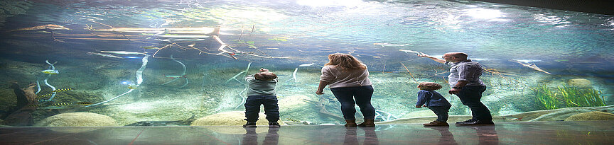 Familie vor dem Panoramabecken im Aquarium