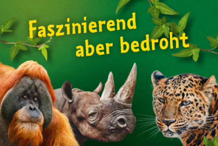 Motivbild Artenschutz