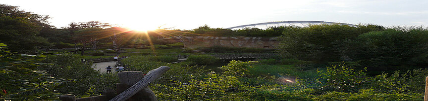 Sonnenuntergang über Pongoland