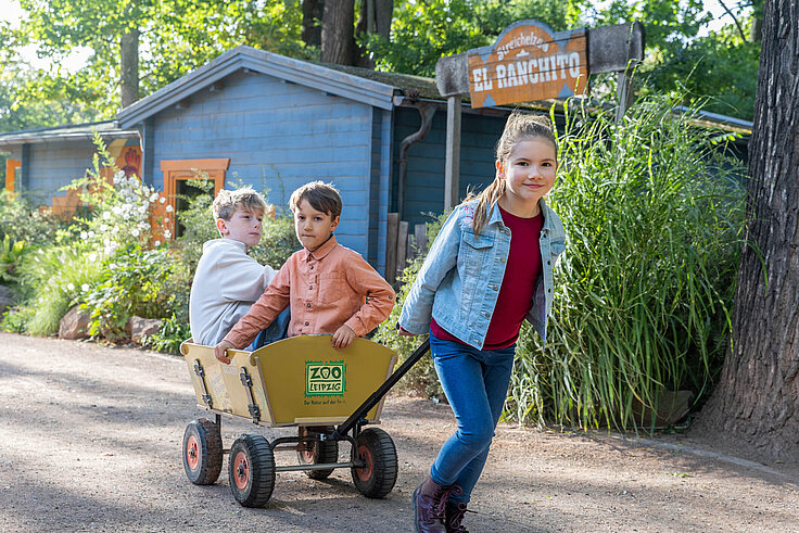 kids in a hand cart