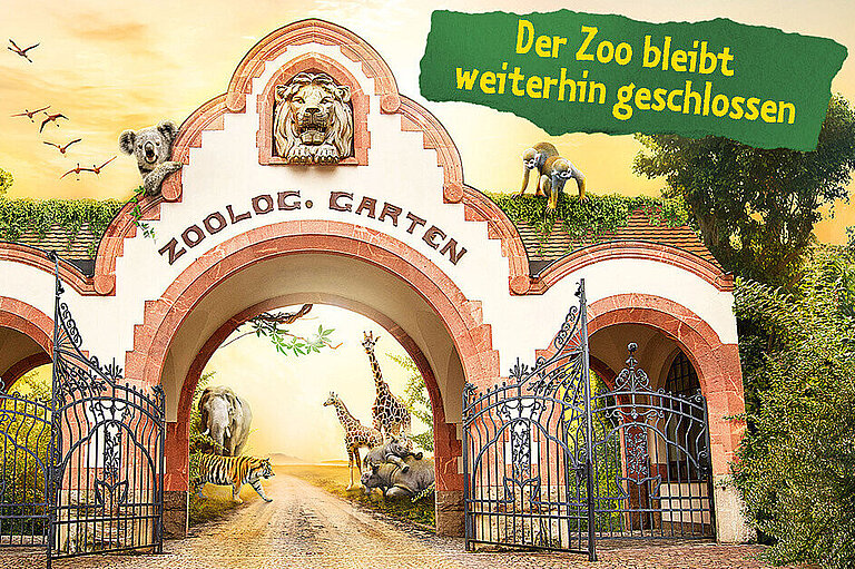 Plakatmotiv_Zooeingang.