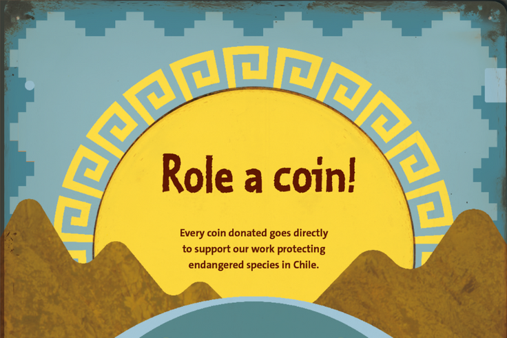 Role a coin! Every coin danated goes directly to support our work protecting endangered species in Chile.