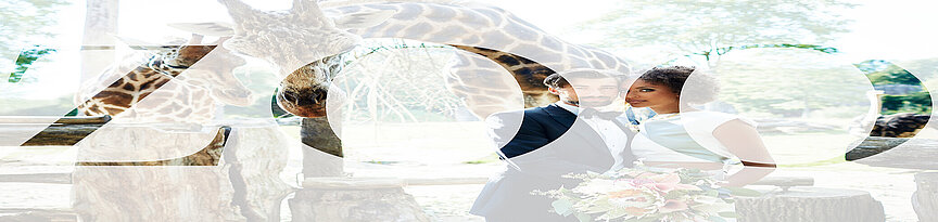Teaser Hochzeiten im Zoo Leipzig 